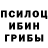 Псилоцибиновые грибы Psilocybine cubensis ALX