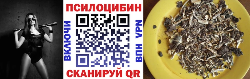 Псилоцибиновые грибы мицелий продажа наркотиков сайты даркнета какой сайт Бор